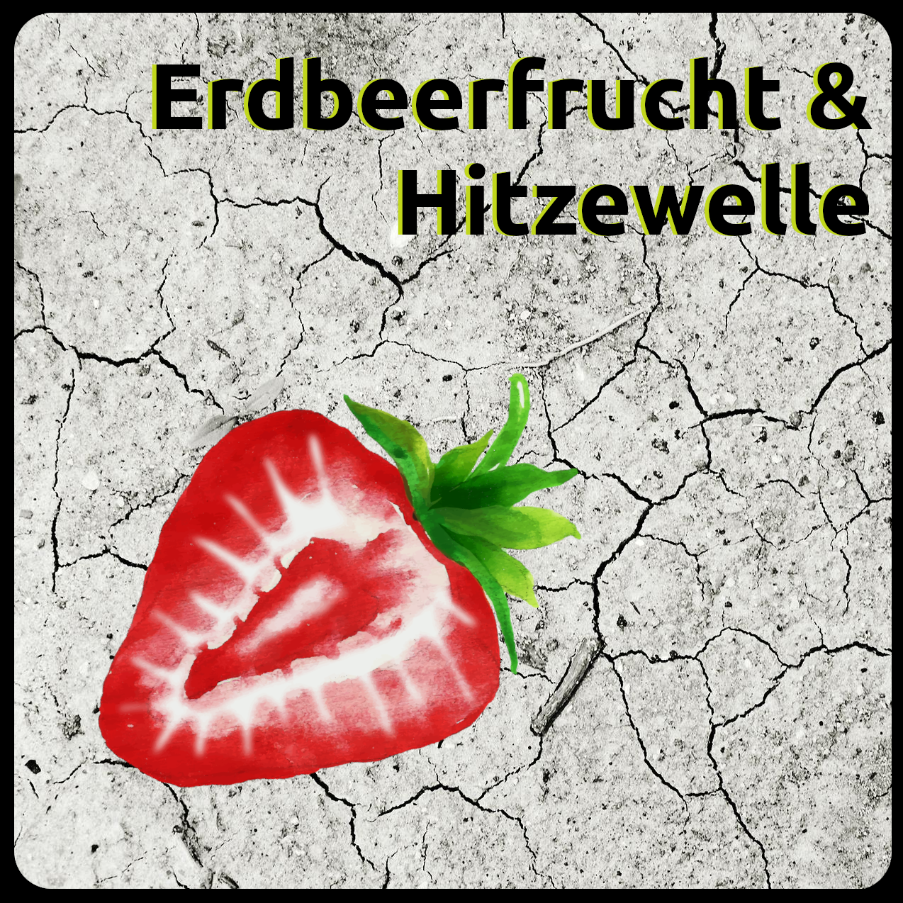 Erdbeerfrucht & Hitzewelle (Banner)