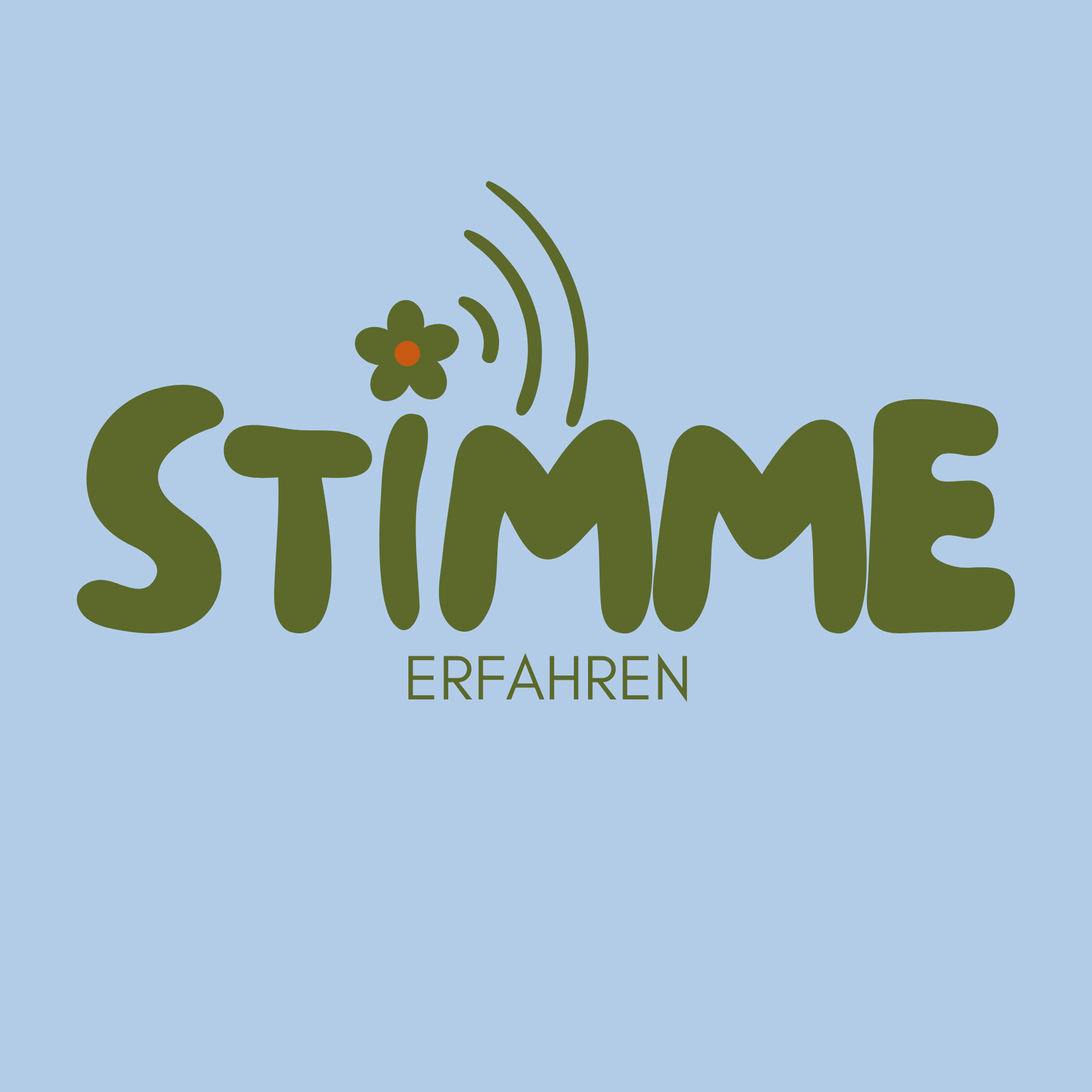 Stimme erfahren (Banner)